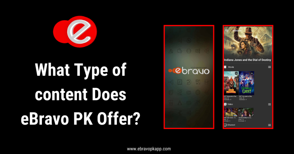 What Type of content Does eBravo PK Offer?